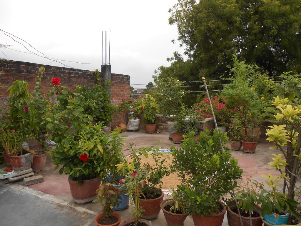 Maruti Guest House - Varanasi, Varanasi